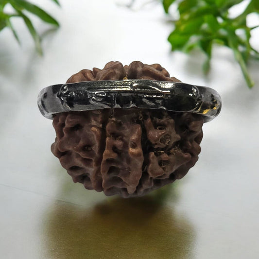 शनि साढ़ेसाती कॉम्बो