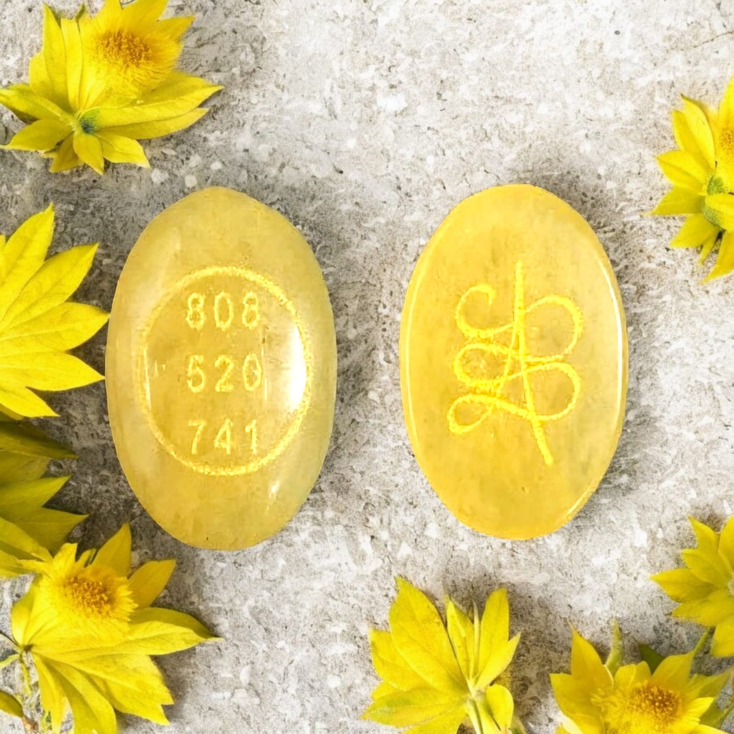 सिट्रीन ज़िबू कॉइन