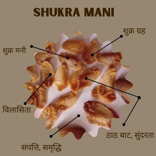 शुक्र मणि